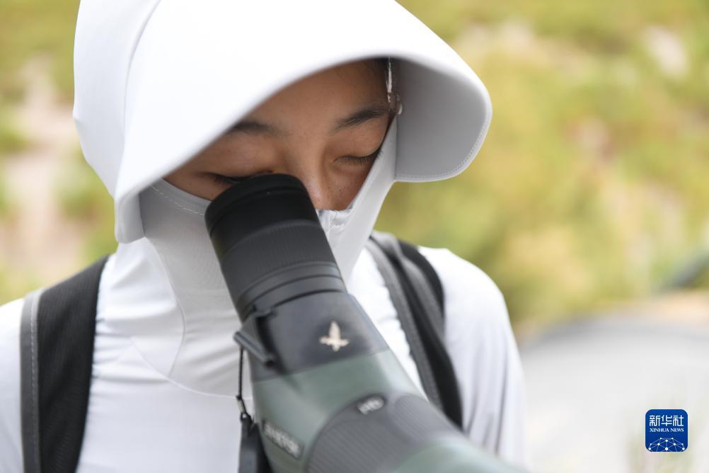 菠菜论坛网址大全